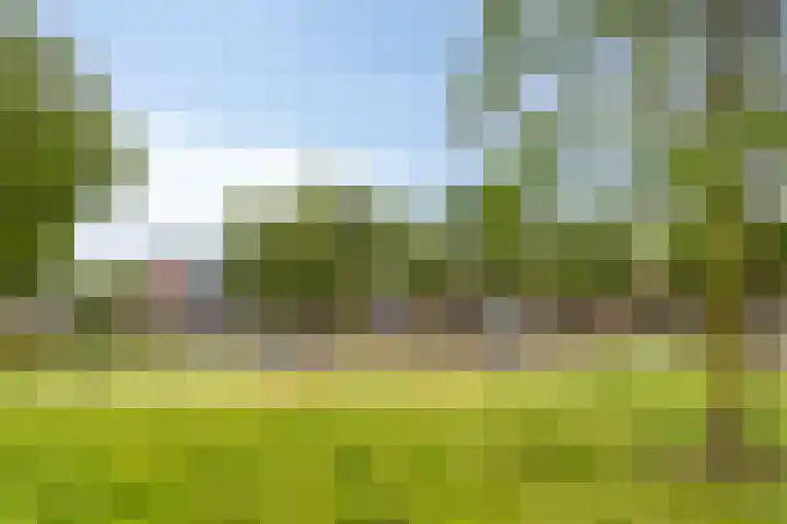 Oranjeplein 17 Goirle thumbnail 35