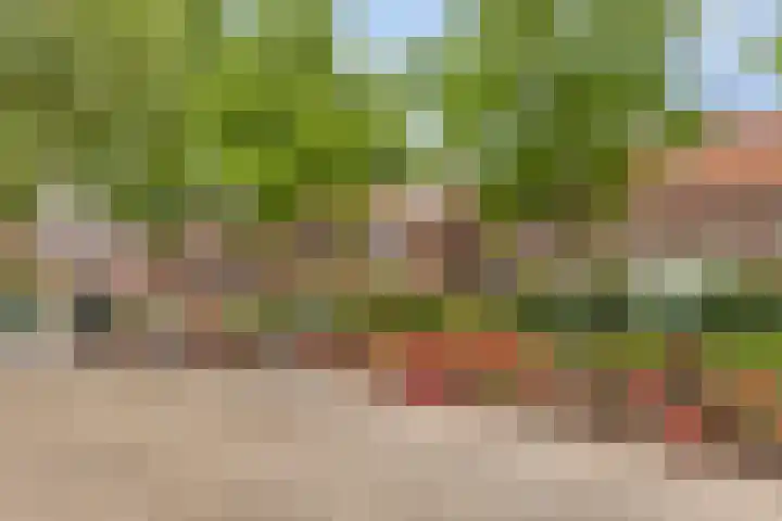 Oranjeplein 17 Goirle thumbnail 37