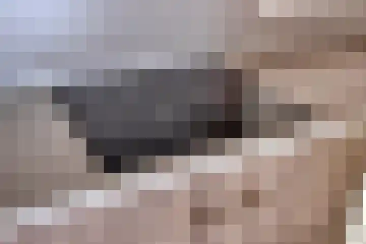 Oranjeplein 17 Goirle thumbnail 9