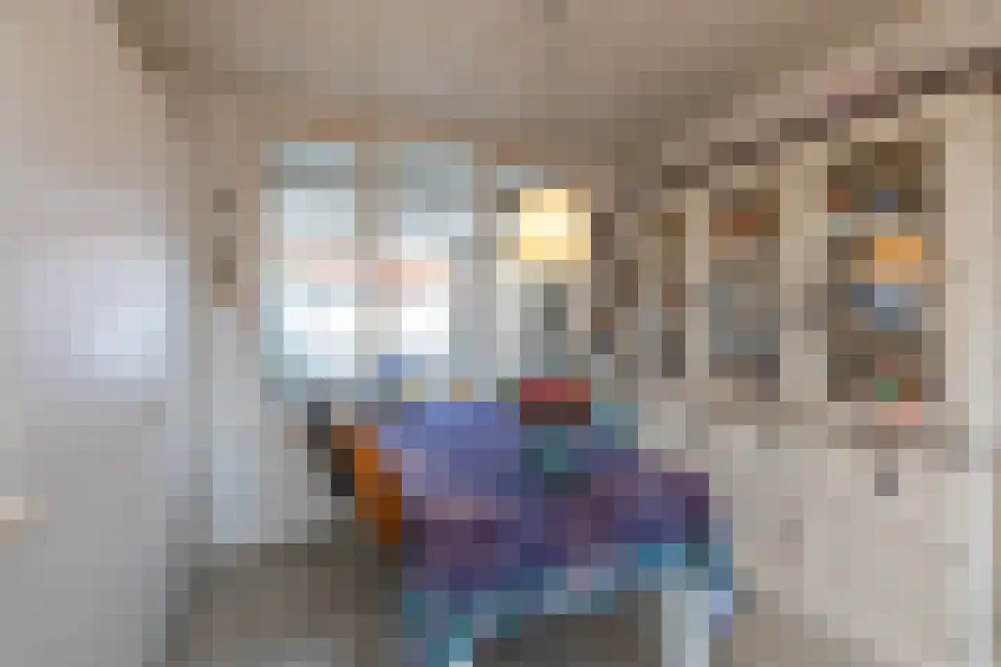 Oranjeplein 17 Zoutelande thumbnail 10