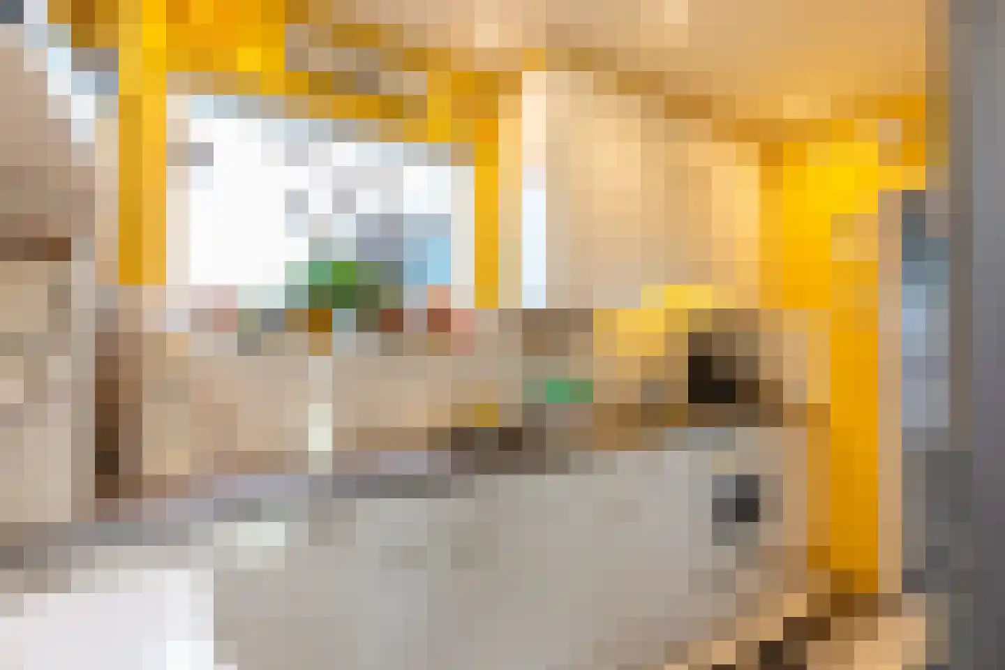 Oranjeplein 17 Zoutelande thumbnail 12