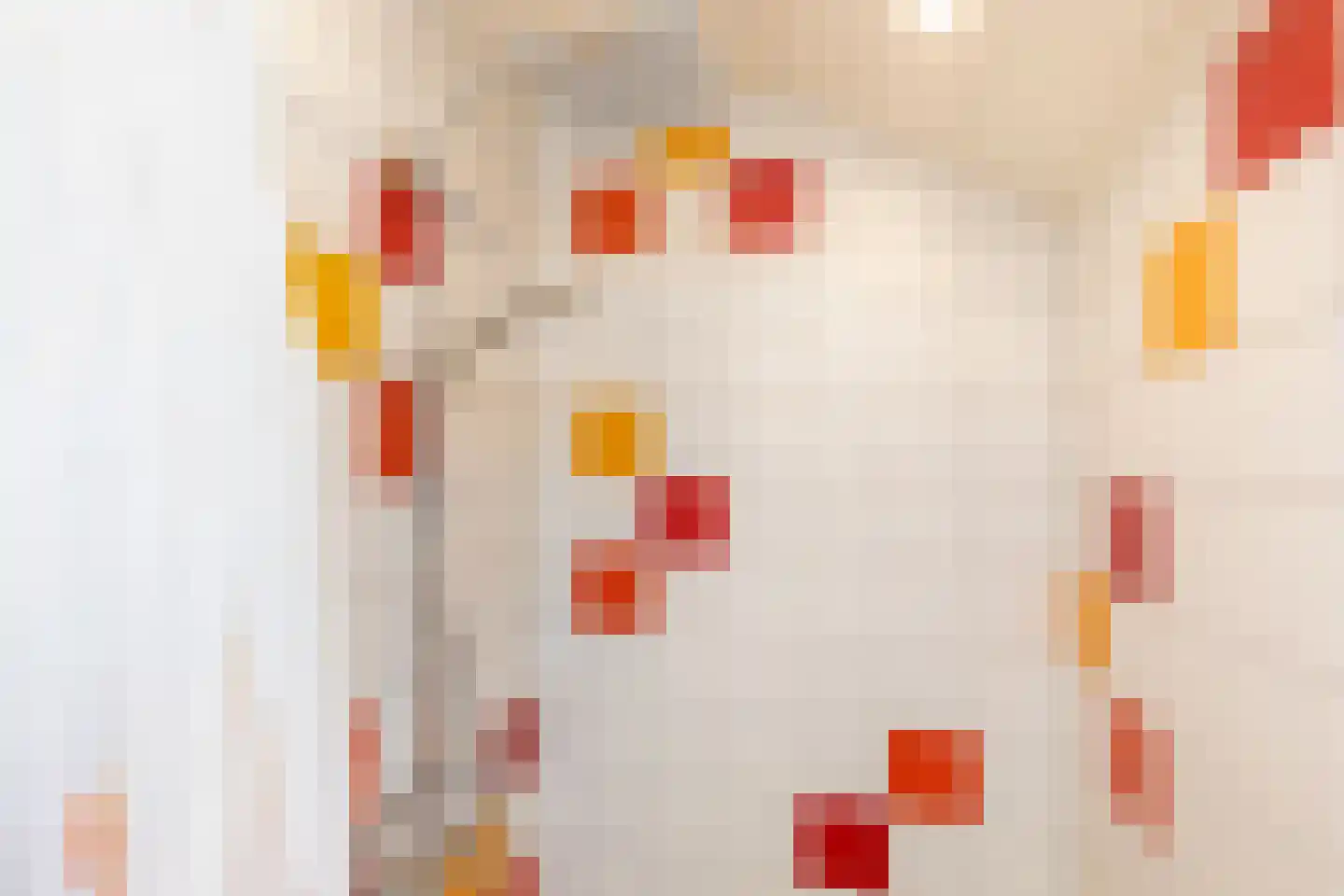 Oranjeplein 17 Zoutelande thumbnail 18