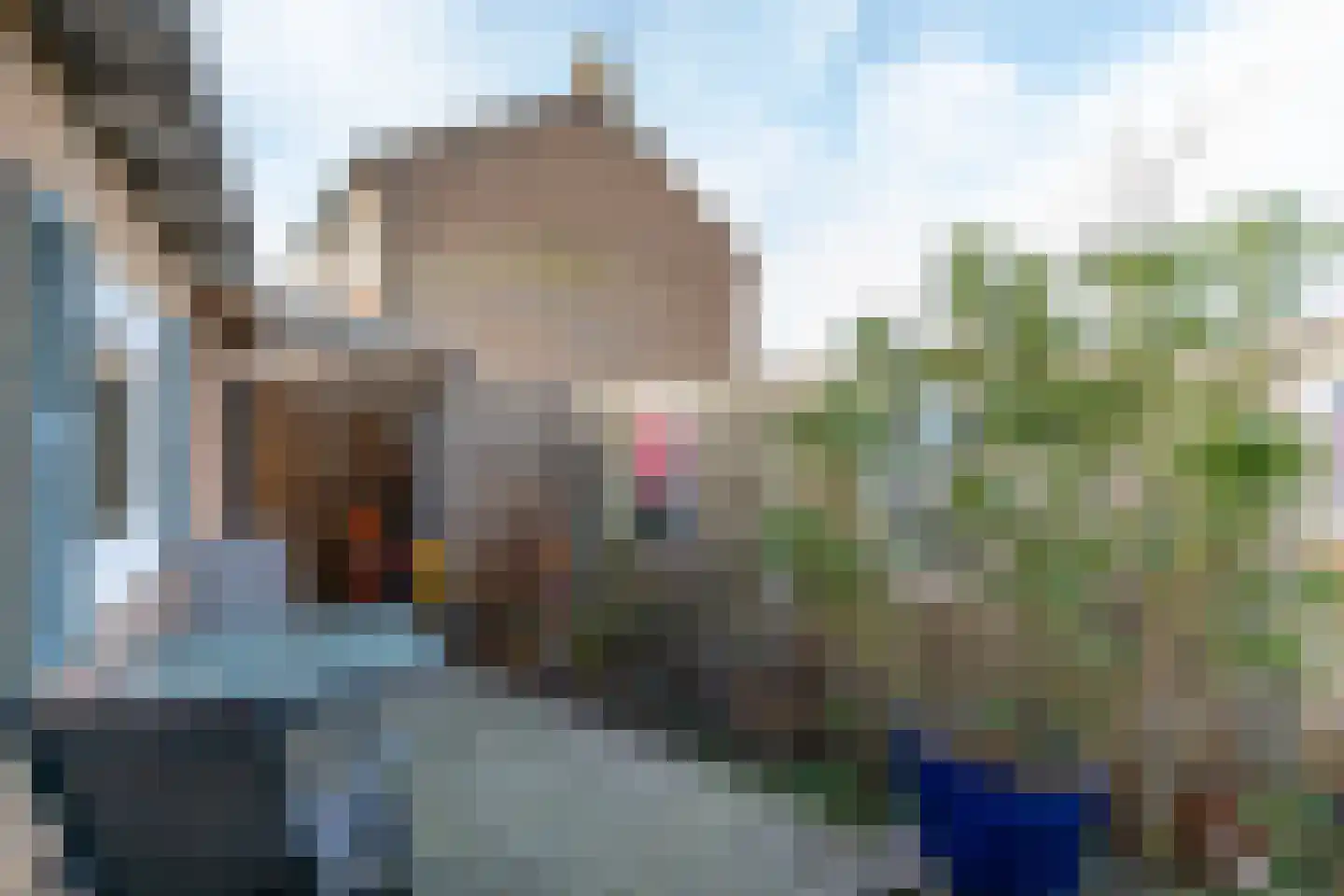 Oranjeplein 17 Zoutelande thumbnail 22