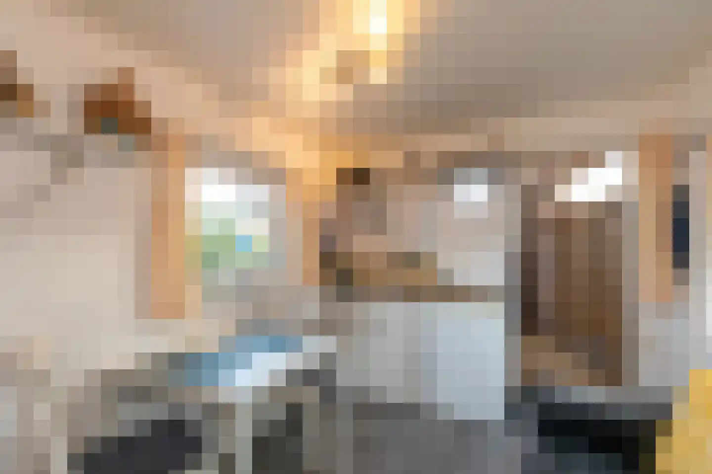 Oranjeplein 17 Zoutelande thumbnail 25