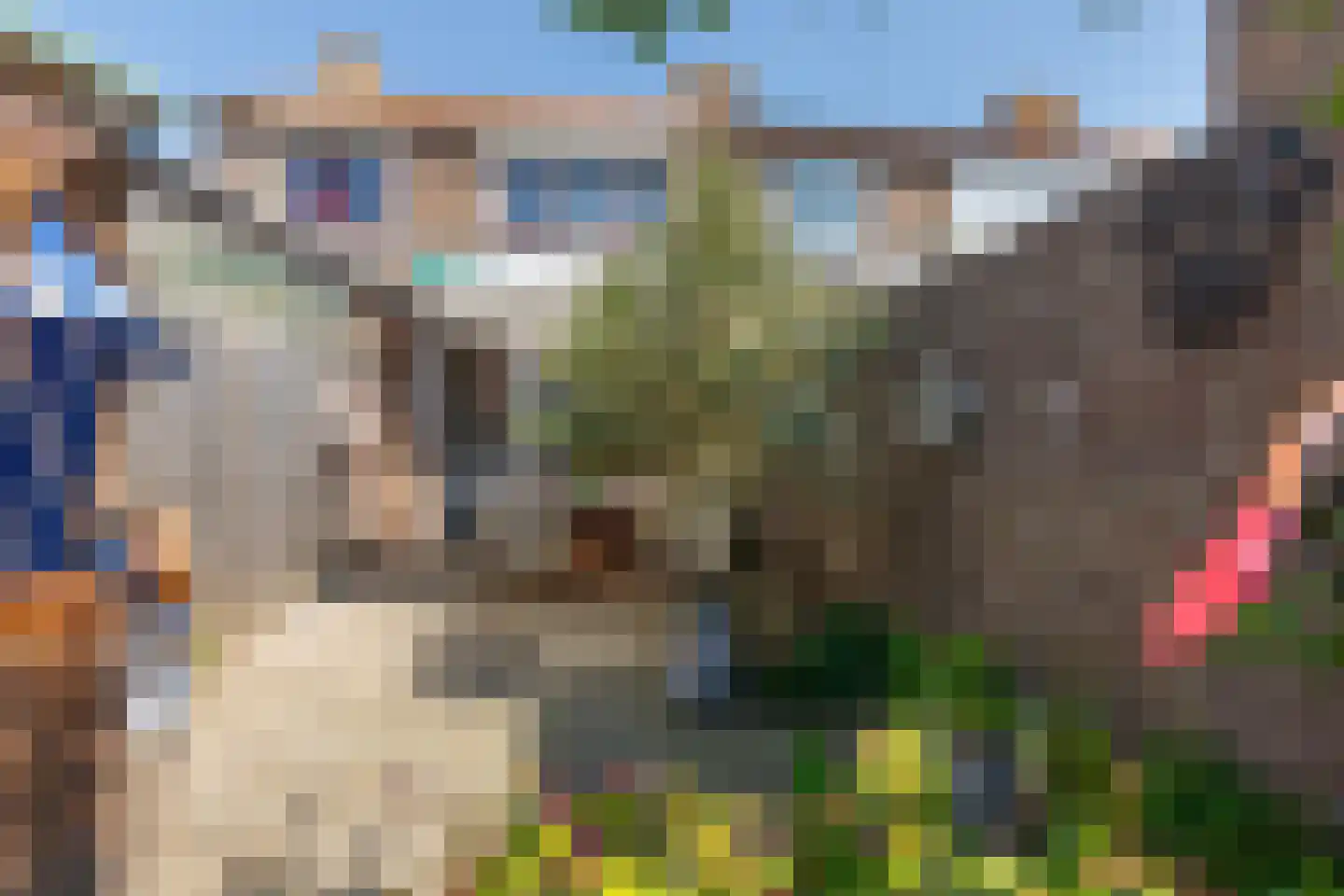 Oranjeplein 17 Zoutelande thumbnail 35