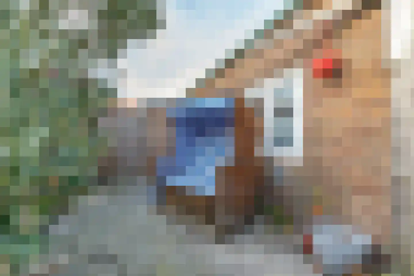 Oranjeplein 17 Zoutelande thumbnail 37