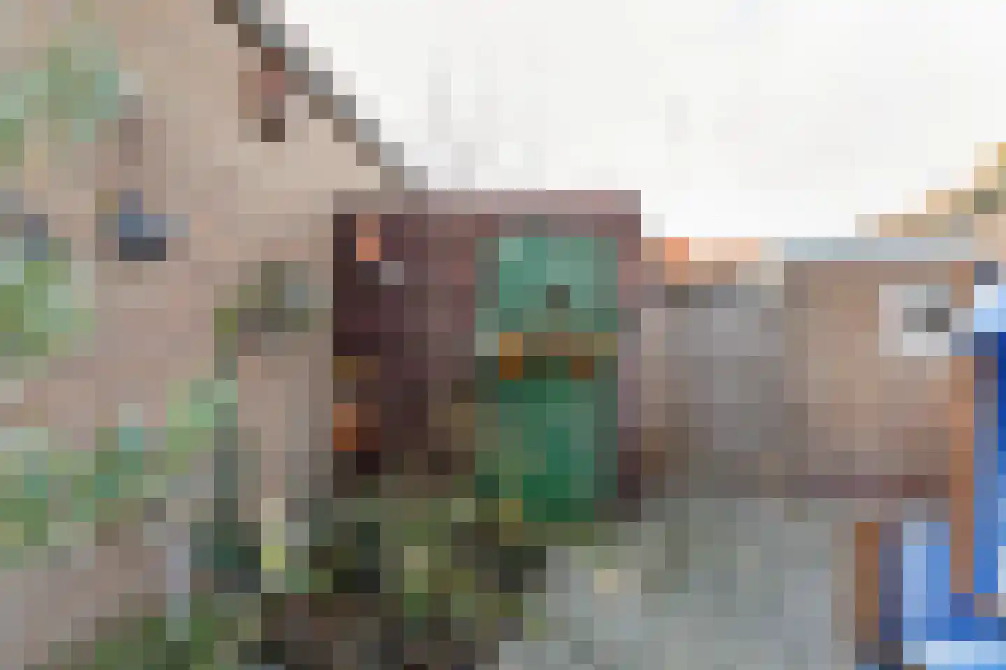 Oranjeplein 17 Zoutelande thumbnail 38