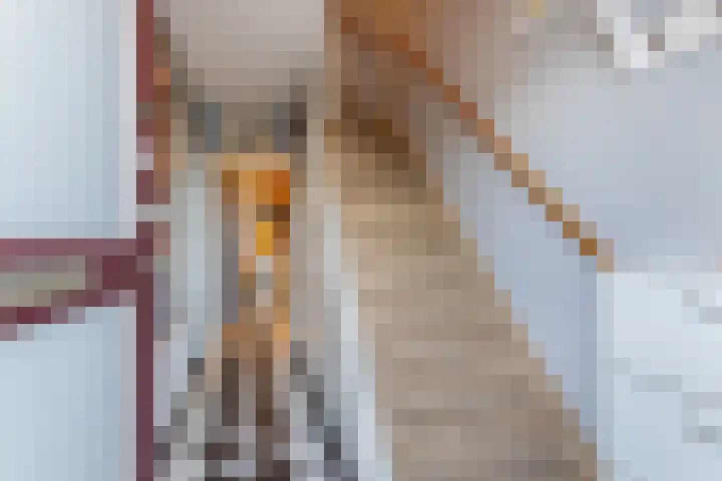 Oranjeplein 17 Zoutelande thumbnail 6