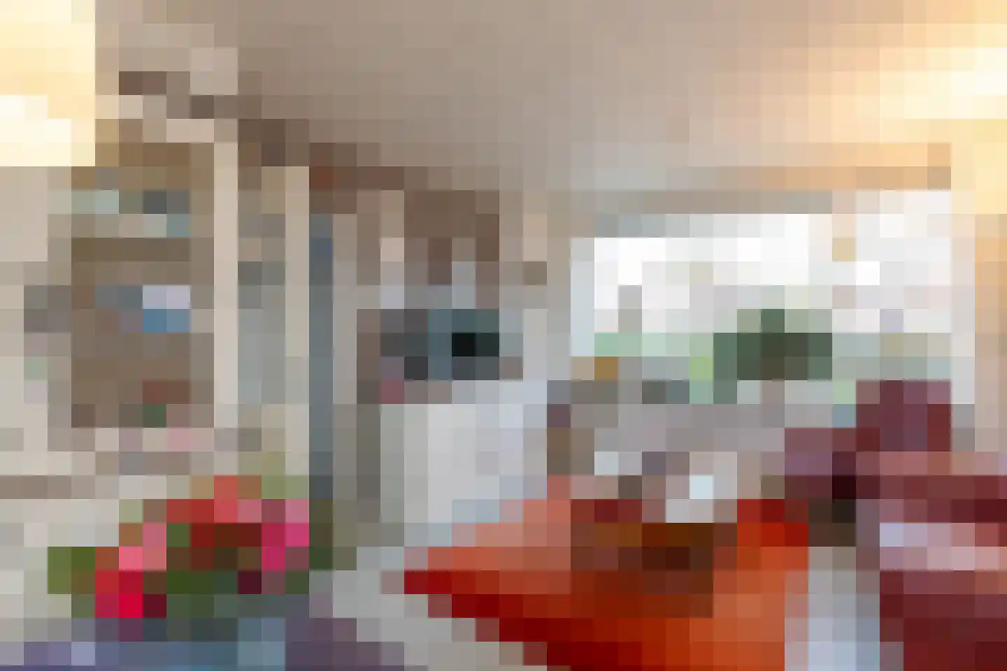 Oranjeplein 17 Zoutelande thumbnail 8