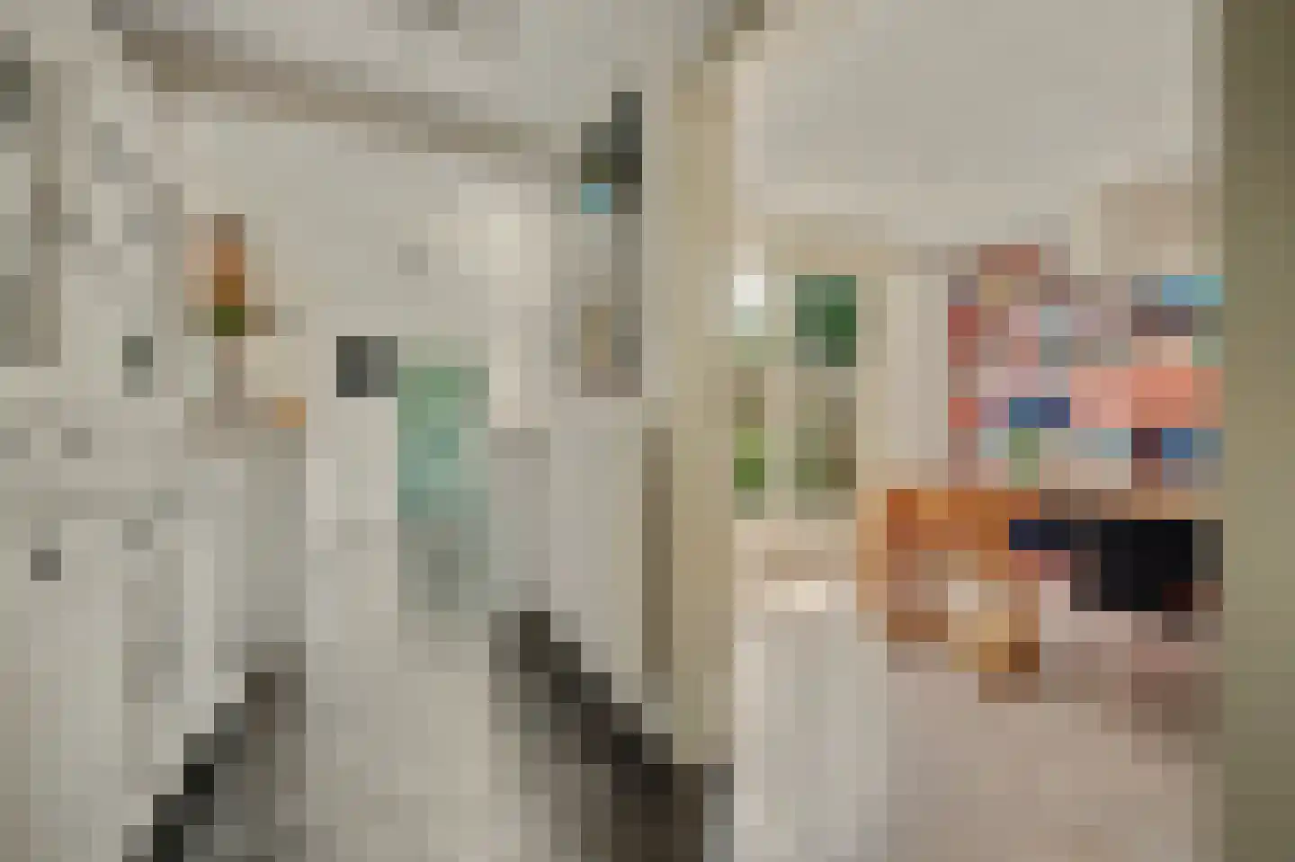 Oranjeplein 20 Zoutelande thumbnail 12