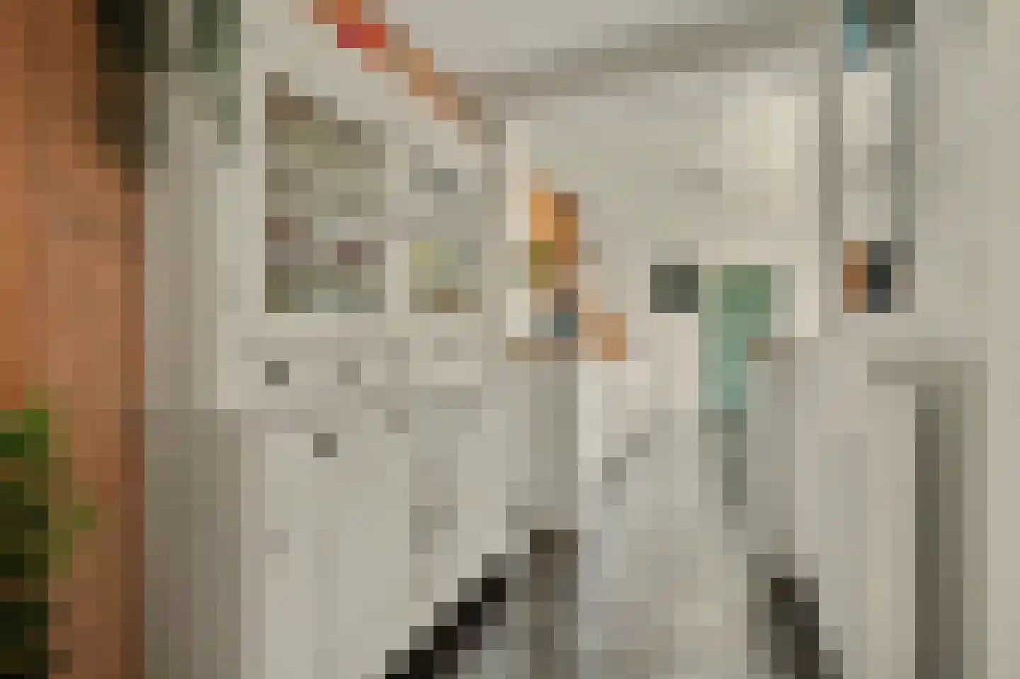 Oranjeplein 20 Zoutelande thumbnail 17