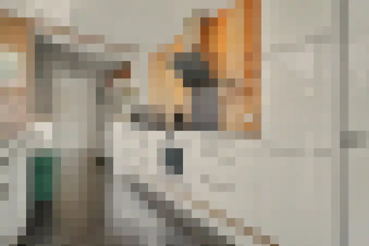 Oranjeplein 20 Zoutelande thumbnail 19