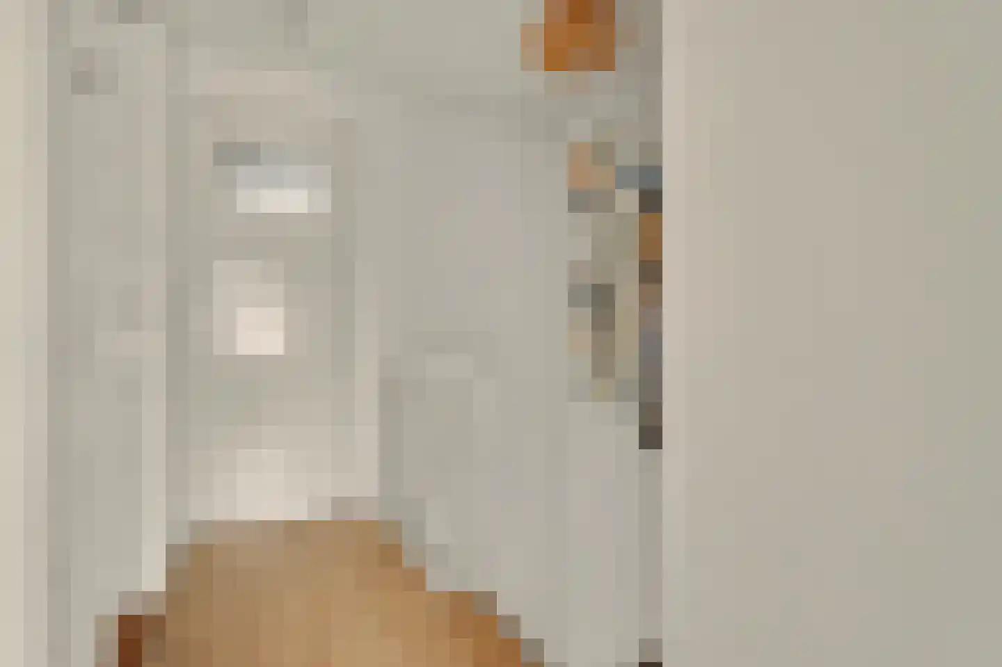 Oranjeplein 20 Zoutelande thumbnail 21