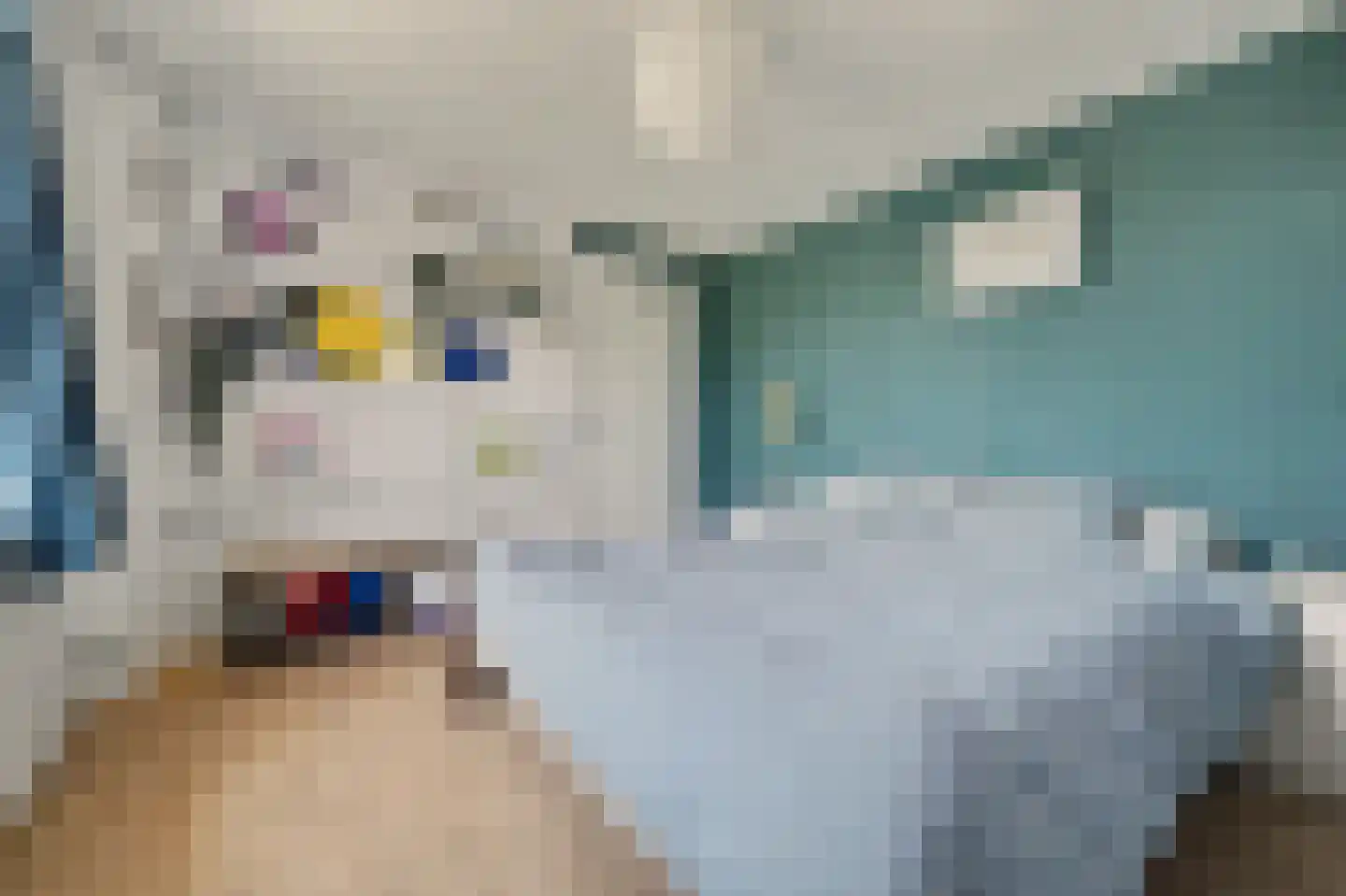 Oranjeplein 20 Zoutelande thumbnail 23