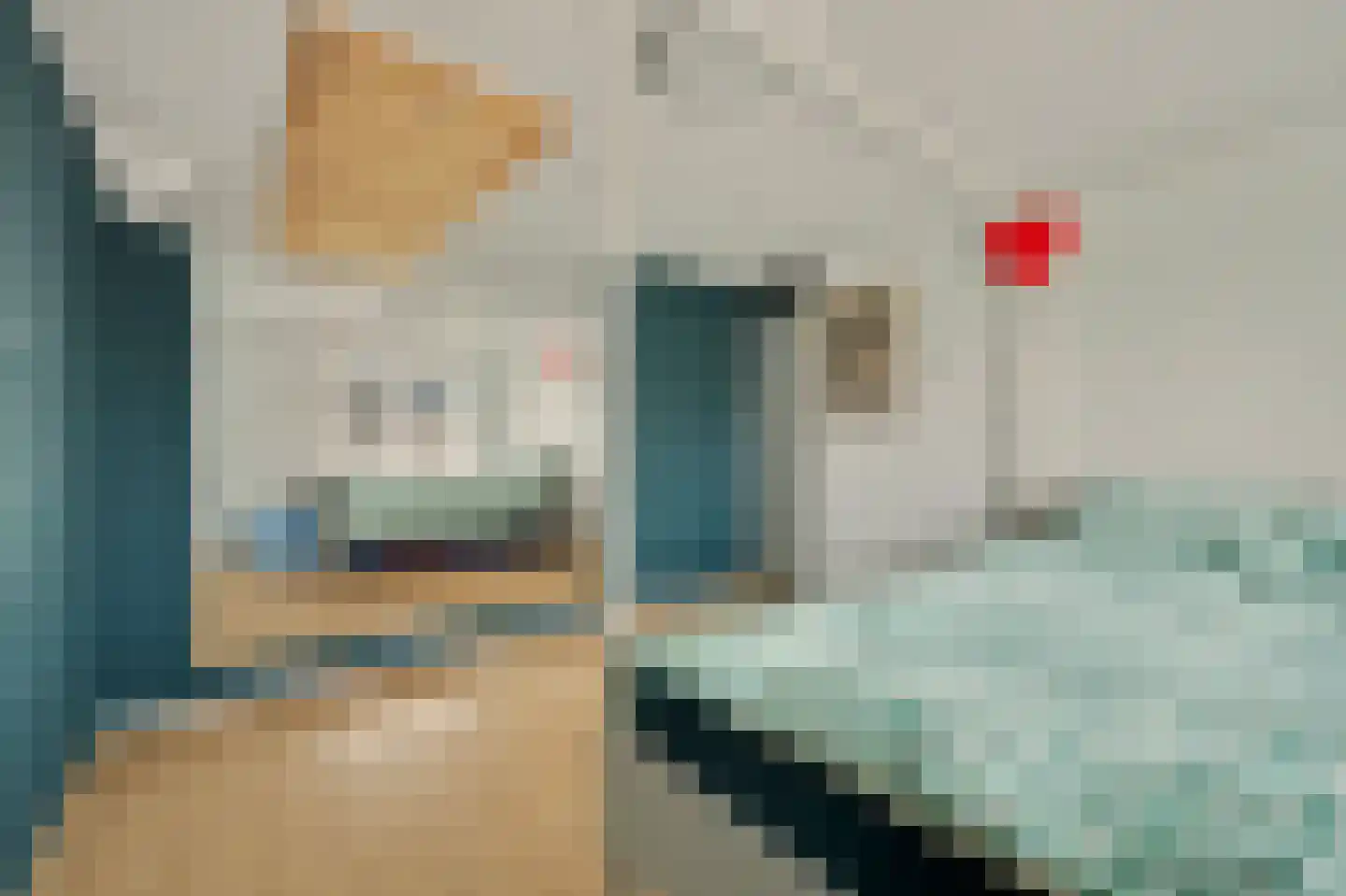Oranjeplein 20 Zoutelande thumbnail 25