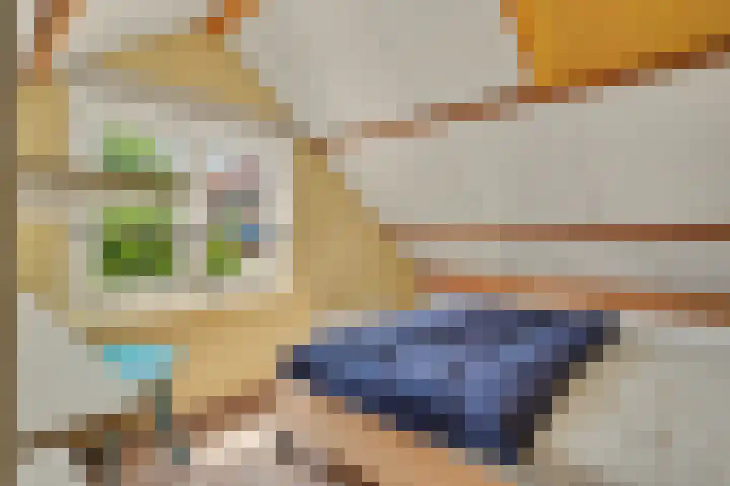 Oranjeplein 20 Zoutelande thumbnail 35