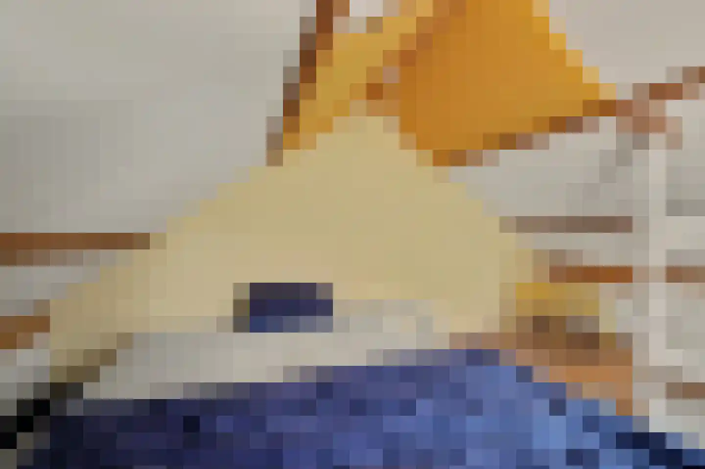 Oranjeplein 20 Zoutelande thumbnail 36