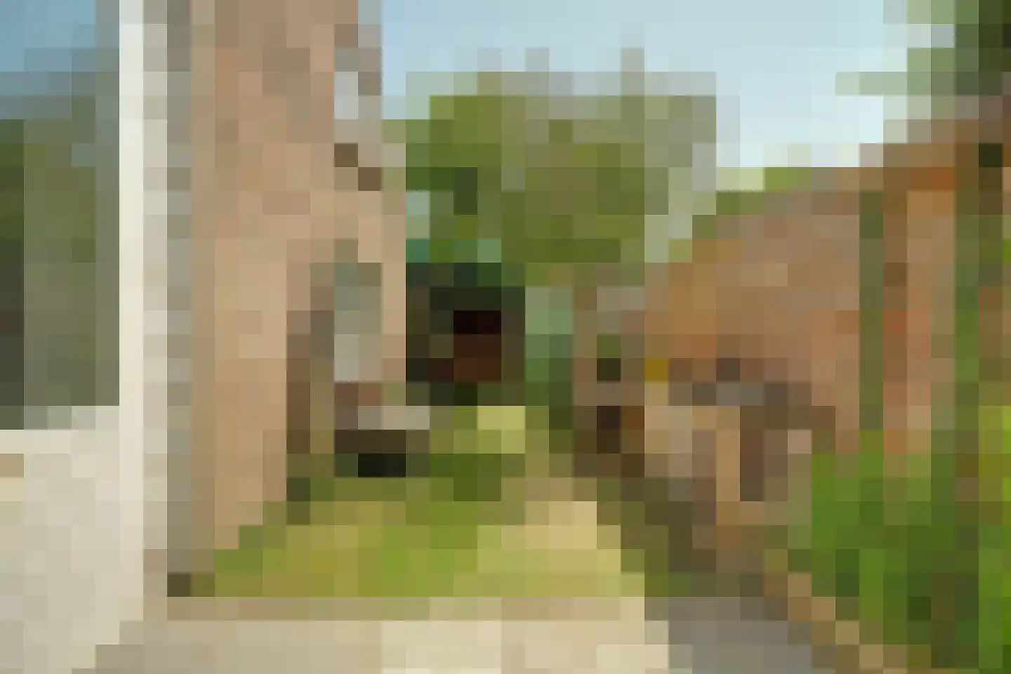 Oranjeplein 20 Zoutelande thumbnail 37