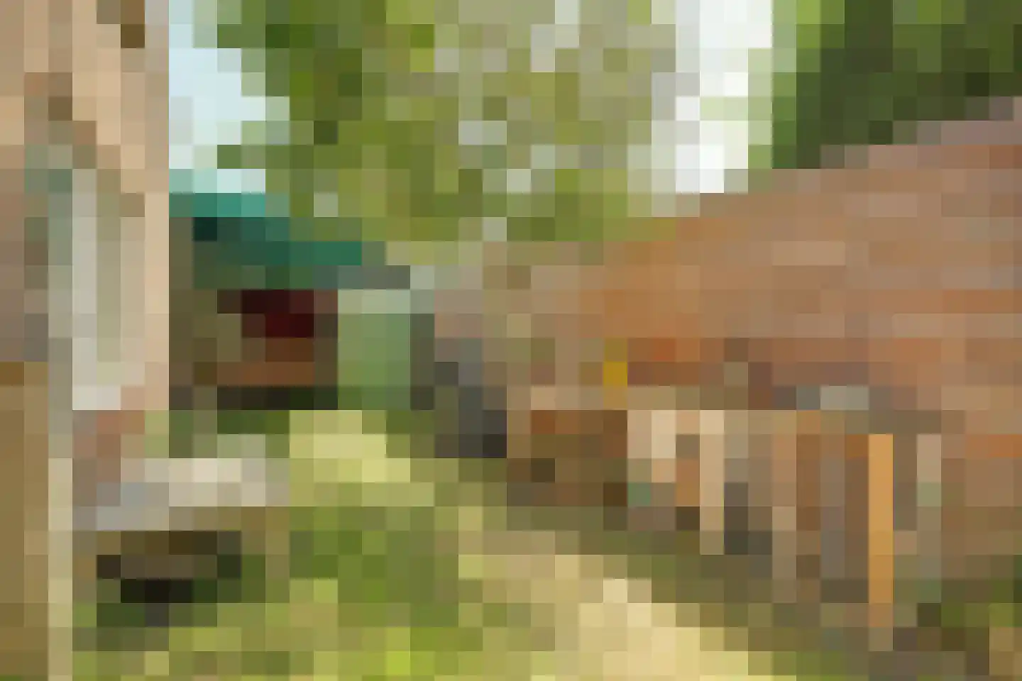 Oranjeplein 20 Zoutelande thumbnail 38