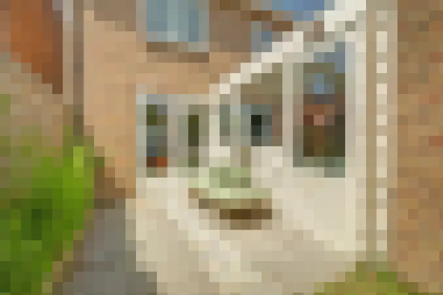 Oranjeplein 20 Zoutelande thumbnail 39