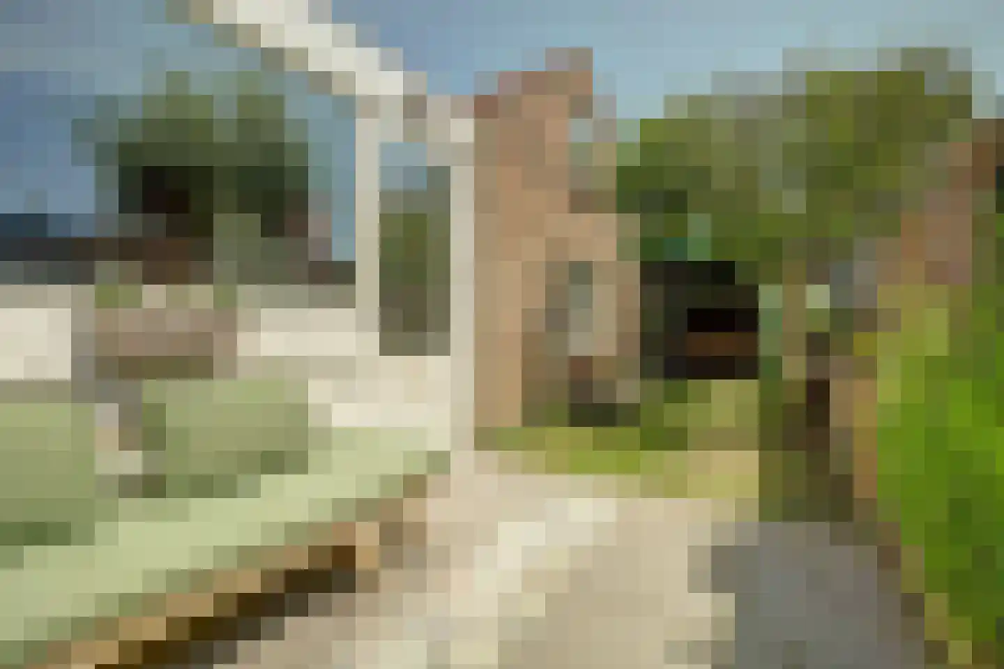 Oranjeplein 20 Zoutelande thumbnail 4
