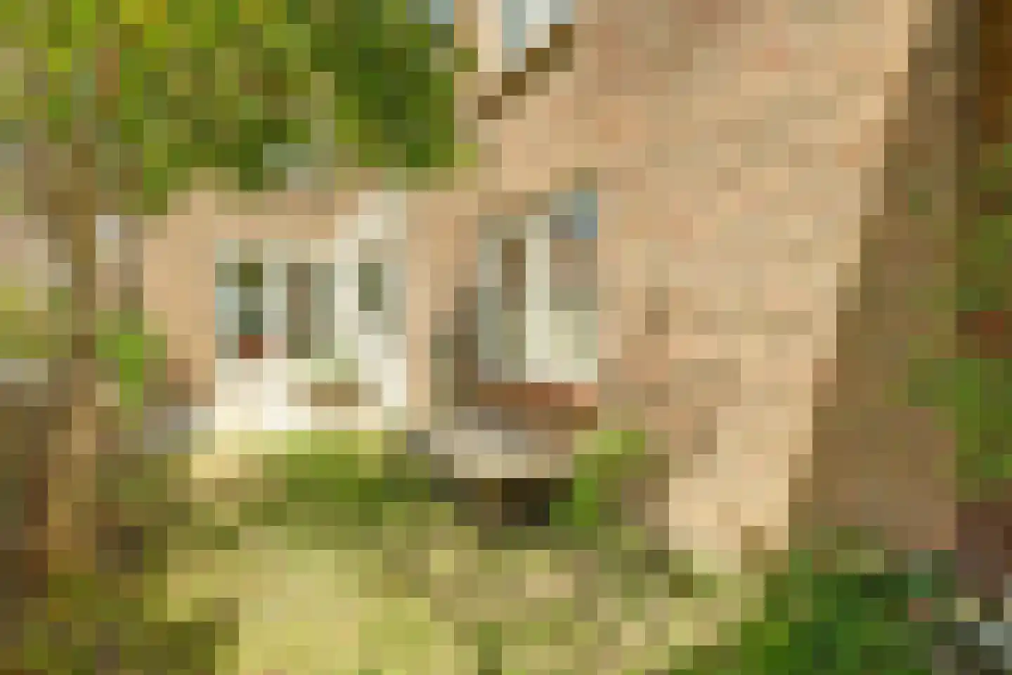 Oranjeplein 20 Zoutelande thumbnail 40