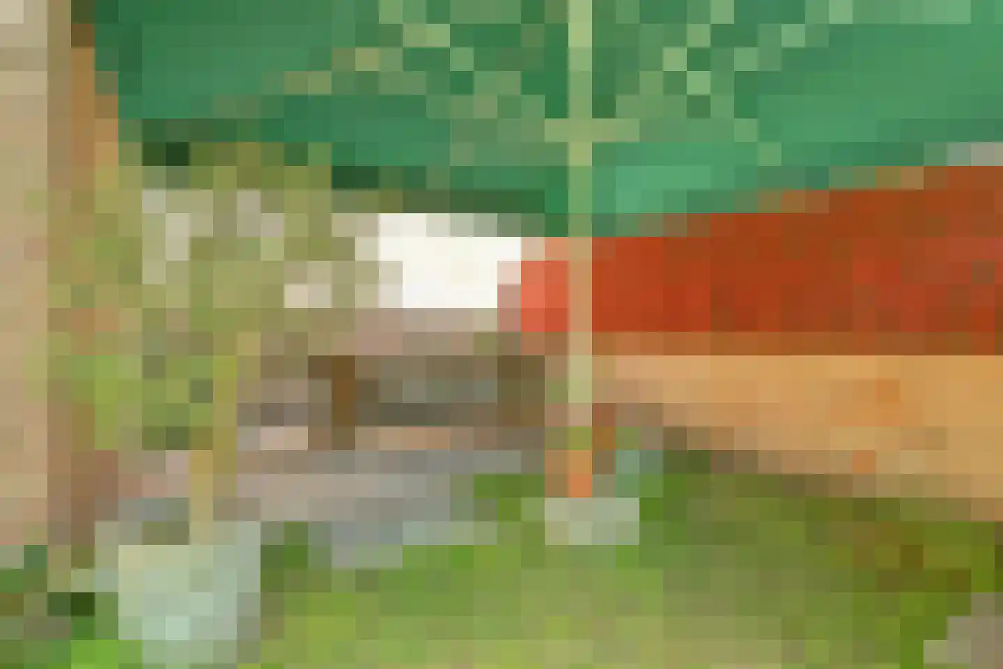 Oranjeplein 20 Zoutelande thumbnail 41