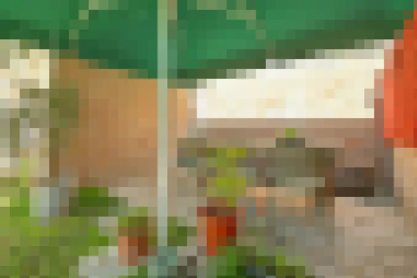 Oranjeplein 20 Zoutelande thumbnail 42