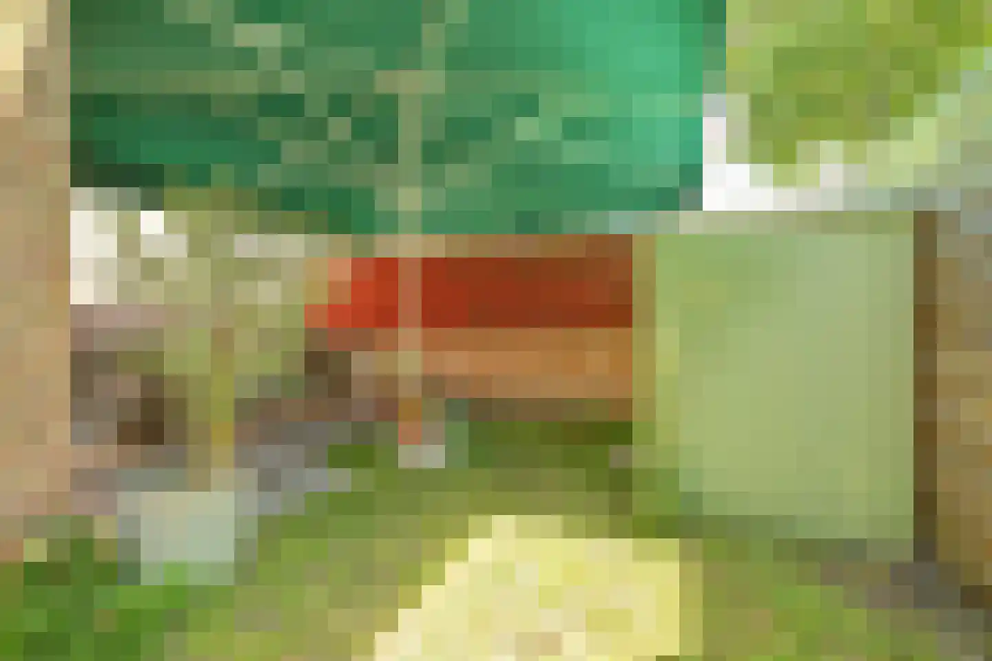 Oranjeplein 20 Zoutelande thumbnail 43