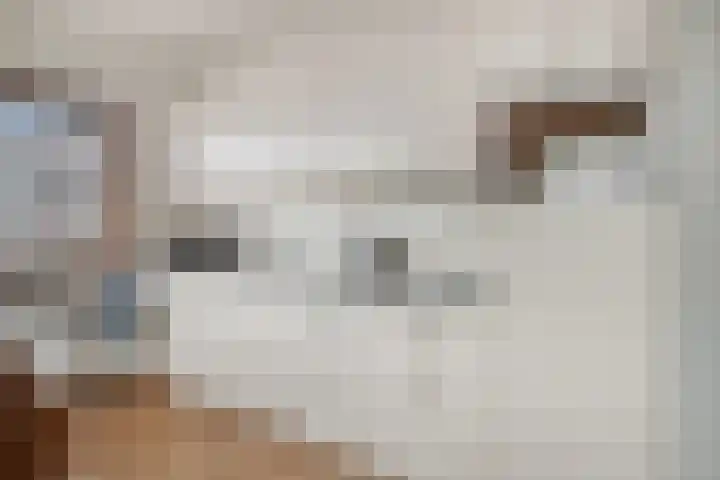 Oranjeplein 21 Goirle thumbnail 10