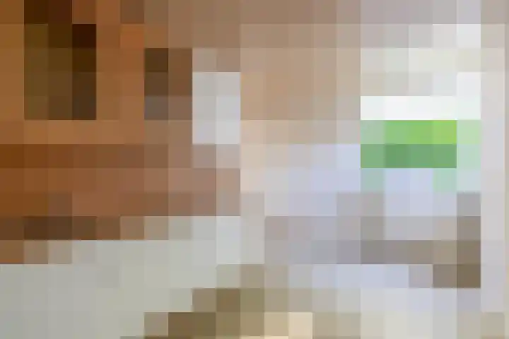 Oranjeplein 21 Zundert thumbnail 15
