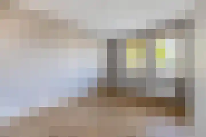 Oranjeplein 21 Zundert thumbnail 18
