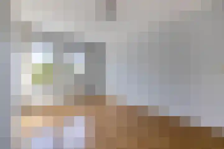 Oranjeplein 21 Zundert thumbnail 21