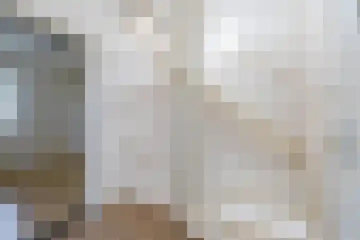 Oranjeplein 21 Zundert thumbnail 25