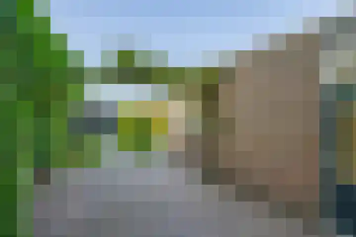 Oranjeplein 21 Zundert thumbnail 30