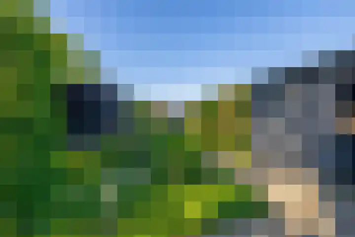 Oranjeplein 21 Zundert thumbnail 31
