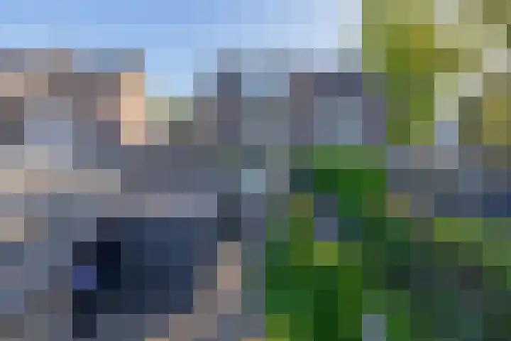 Oranjeplein 21 Zundert thumbnail 33