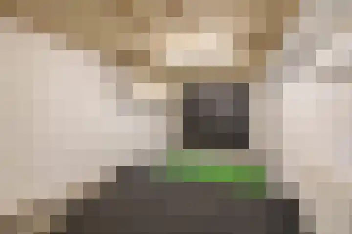 Oranjeplein 21 Zundert thumbnail 34