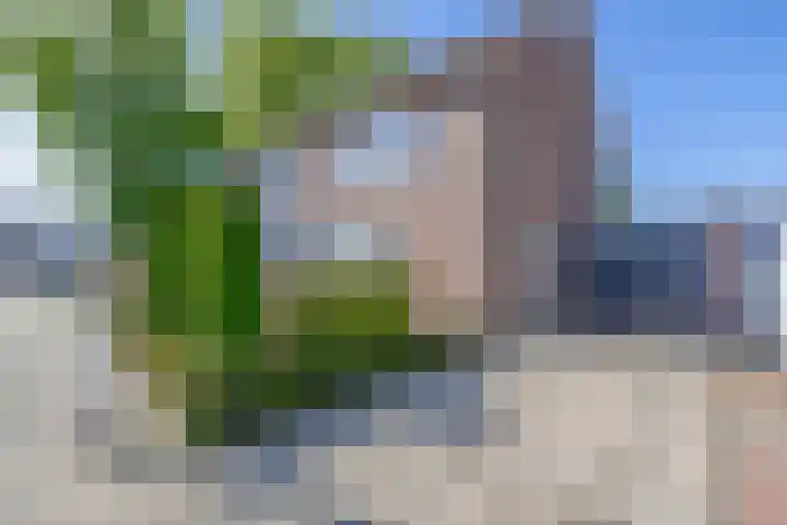 Oranjeplein 21 Zundert thumbnail 36
