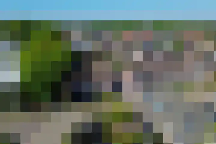 Oranjeplein 21 Zundert thumbnail 39