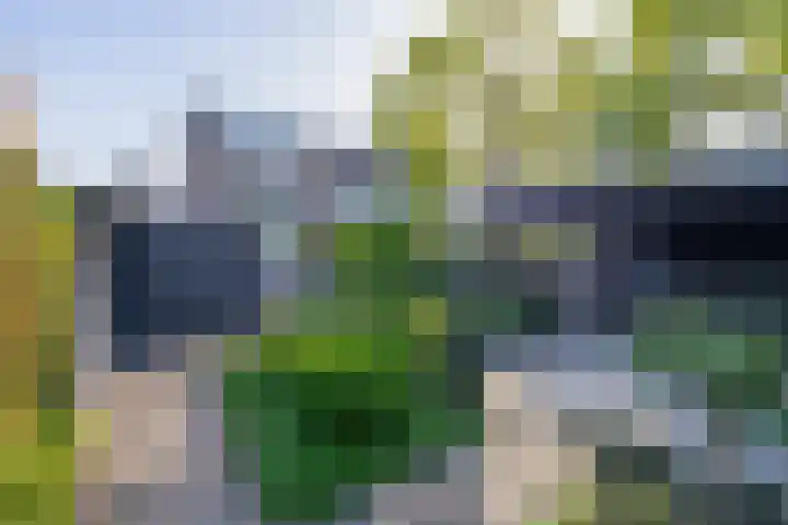 Oranjeplein 21 Zundert thumbnail 5