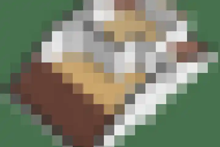 Oranjeplein 21 Zundert thumbnail 51