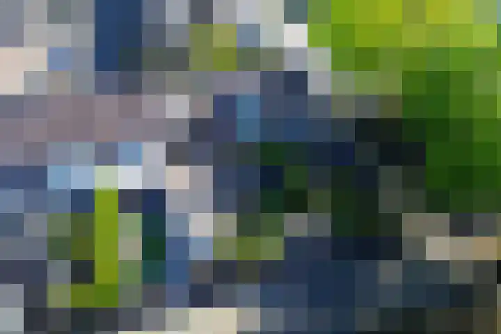 Oranjeplein 21 Zundert thumbnail 6