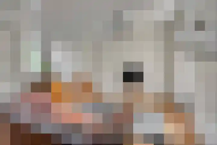 Oranjeplein 29 Goirle thumbnail 12