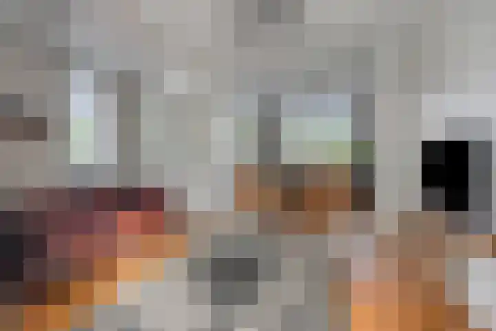 Oranjeplein 29 Goirle thumbnail 13