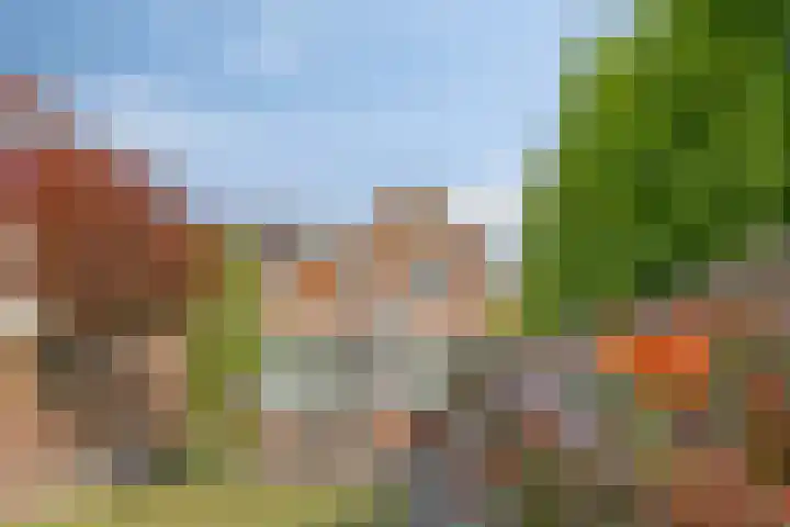 Oranjeplein 29 Goirle thumbnail 30