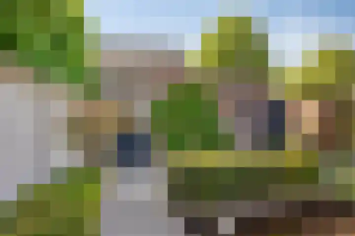 Oranjeplein 29 Goirle thumbnail 36