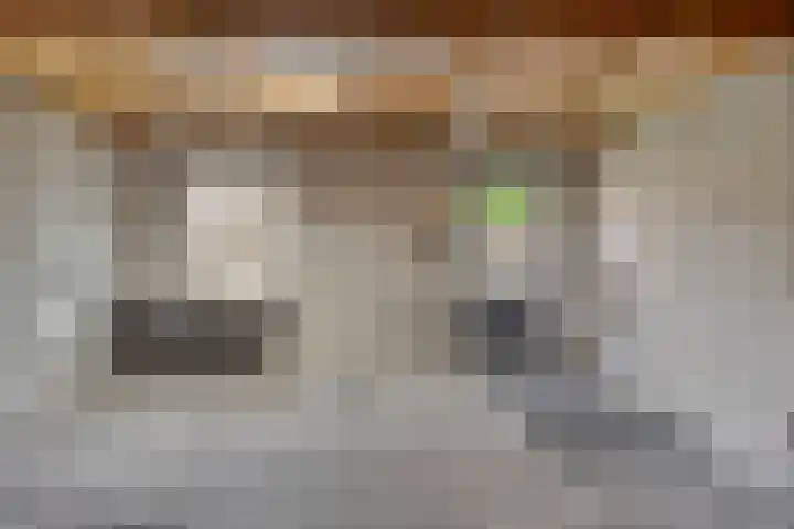 Oranjeplein 29 Goirle thumbnail 37