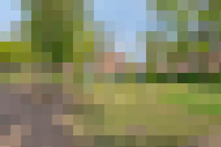 Oranjeplein 29 Goirle thumbnail 38