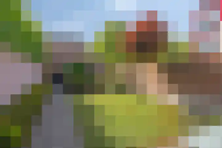 Oranjeplein 29 Goirle thumbnail 4